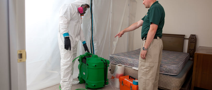 Starkville, MS mold removal process